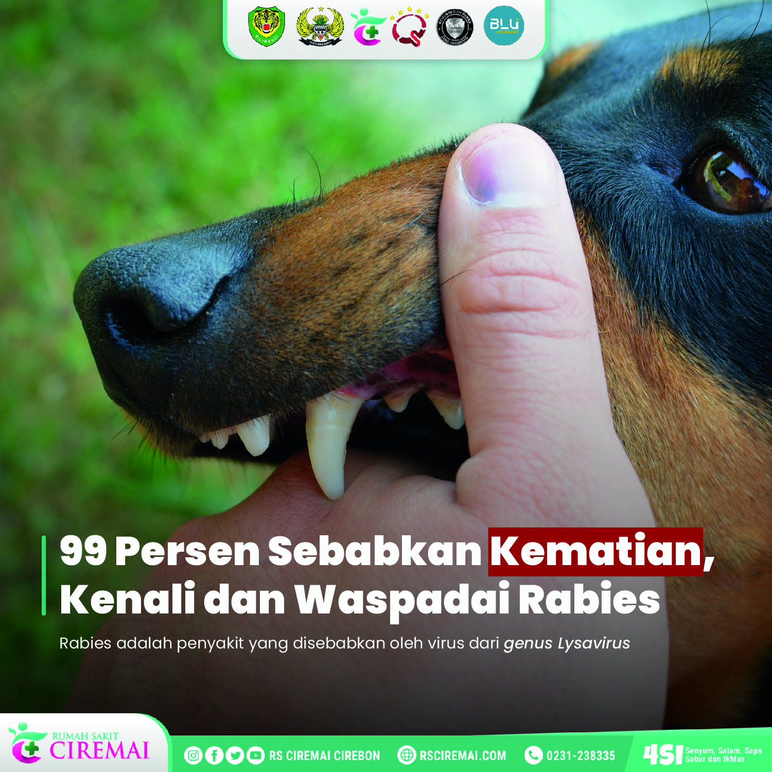 99 Persen Sebabkan Kematian, Kenali dan Waspadai Rabies