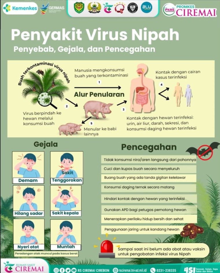 Kemenkes RI Tingkatkan Kewaspadaan Virus Nipah di Indonesia
